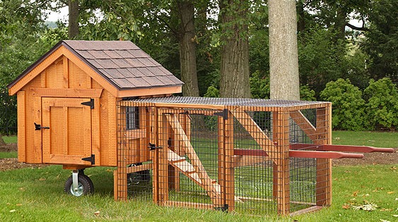 A Frame Chicken Coops - EBERLY BARNS