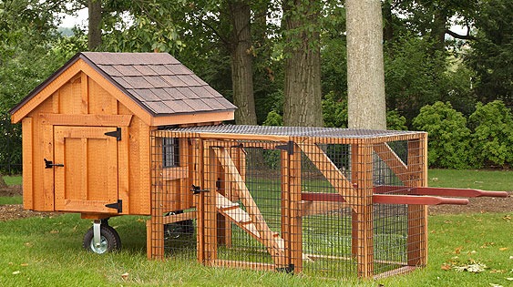 A Frame Chicken Coops - Eberly BarnsEberly Barns