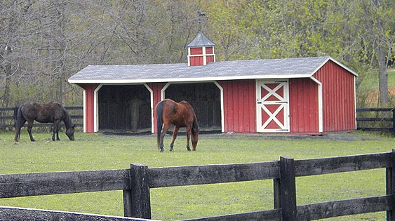 gambrel barn home - loft view post & beam construction